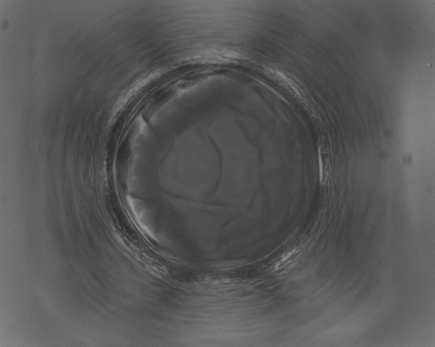X0000072920531200608181253