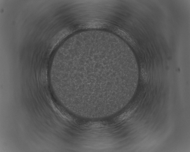 X0000072920534200608181253