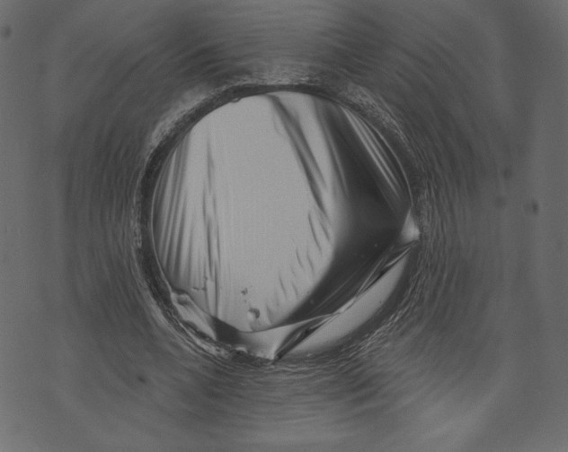 X0000072920536200608181253