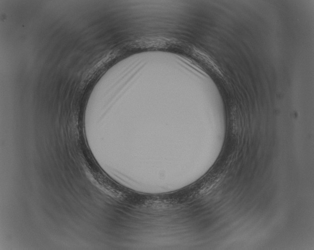X0000072920538200608181253