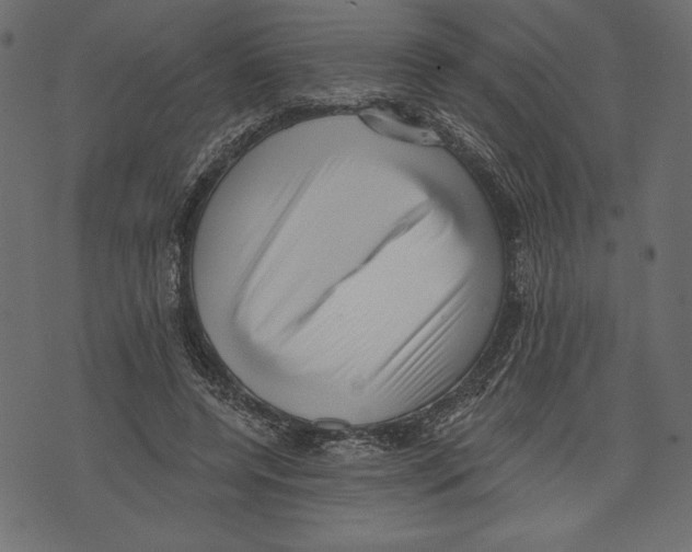 X0000072920544200608181253