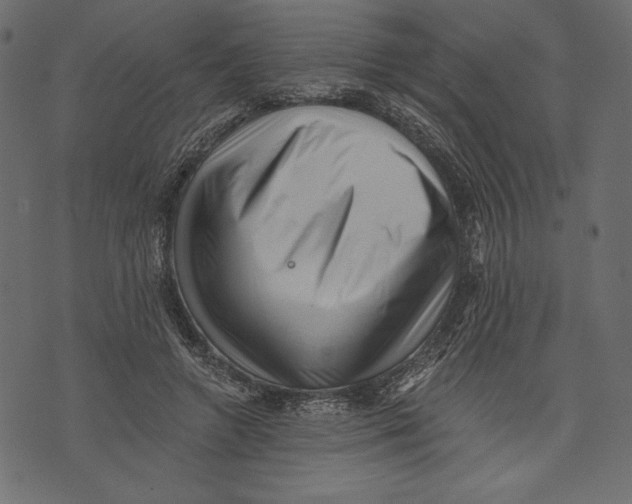 X0000072920546200608181253