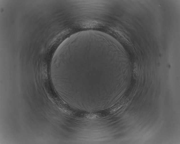 X0000072920547200608181253
