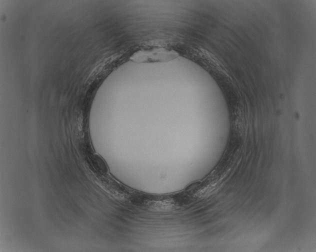 X0000072920548200608181253