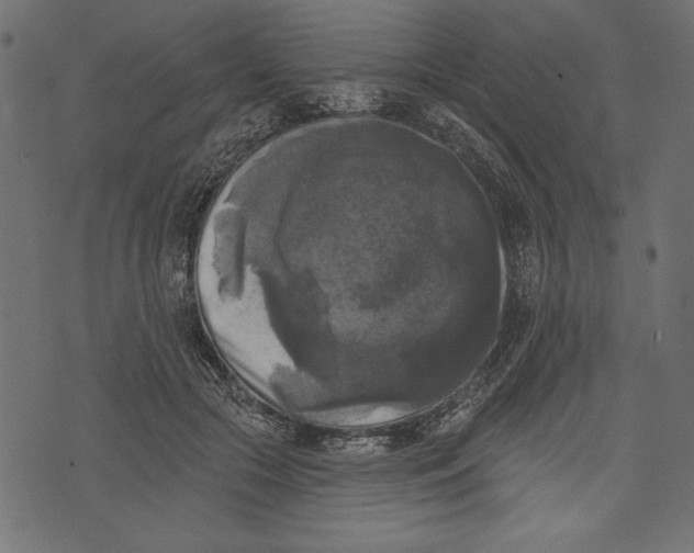 X0000072920553200608181253