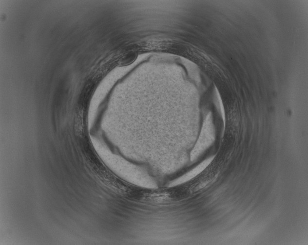 X0000072920554200608181253