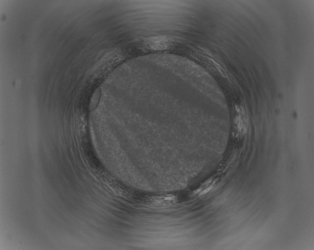 X0000072920555200608181253