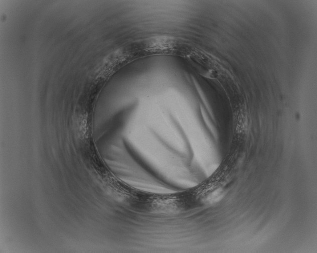 X0000072920560200608181254
