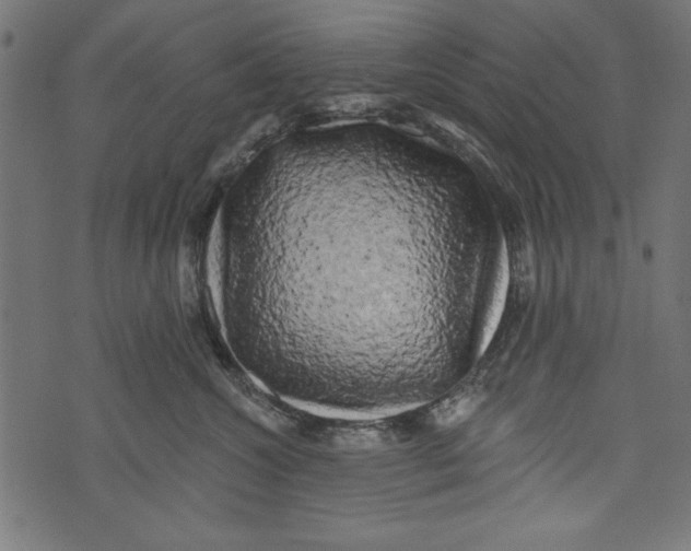 X0000072920572200608181254