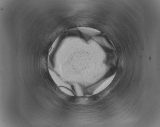 X0000072920575200608181254
