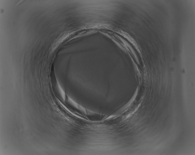 X0000072920577200608181253