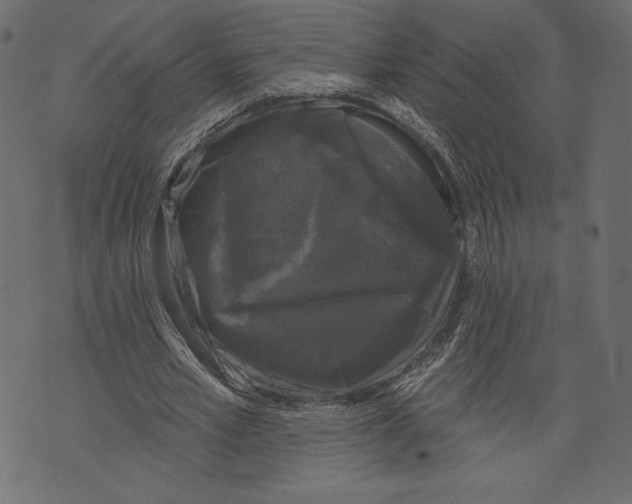 X0000072920581200608181253