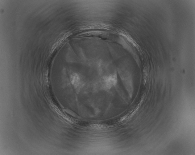 X0000072920585200608181253