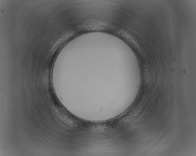X0000072920586200608181253