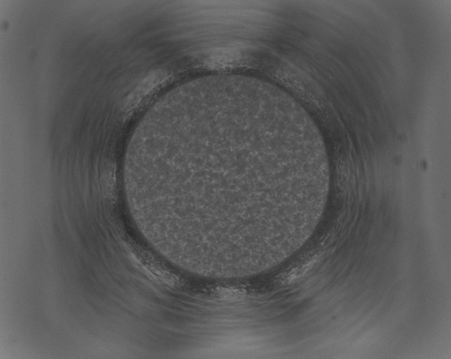 X0000072920592200608181253