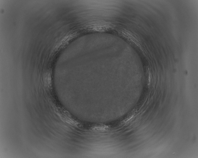 X0000072920595200608181253