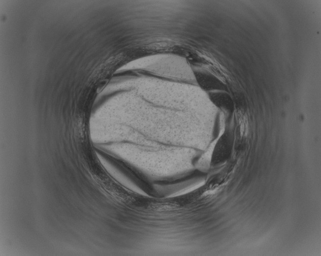 X0000072920597200608181253