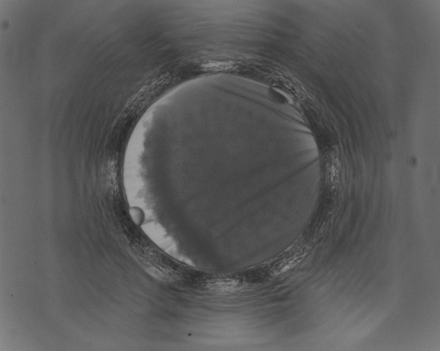 X0000072920598200608181253