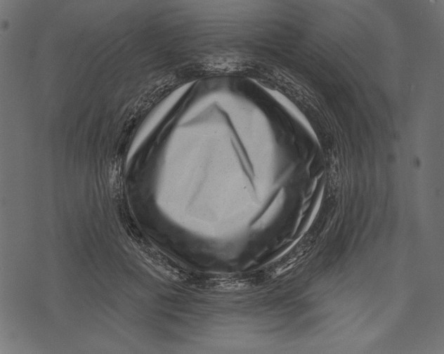 X0000072920601200608181253
