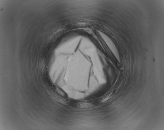 X0000072920605200608181253