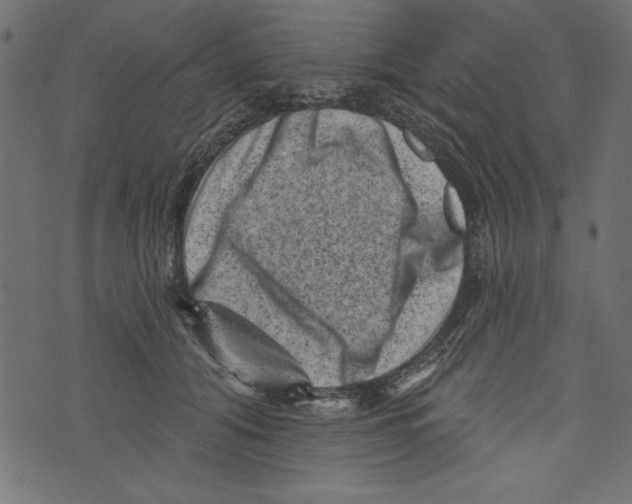 X0000072920608200608181253