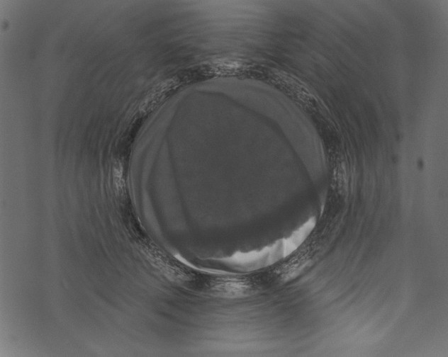 X0000072920610200608181253