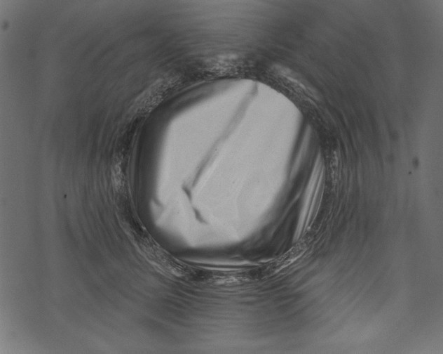 X0000072920611200608181253