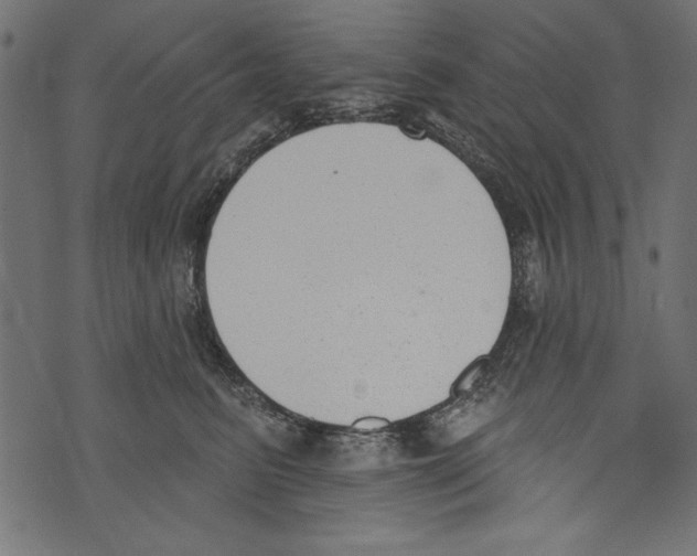 X0000072920615200608181252