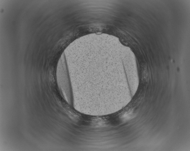 X0000072920616200608181252