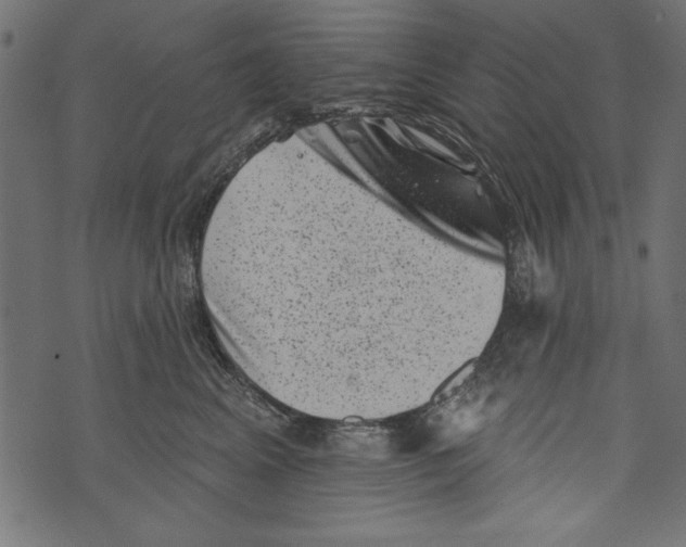 X0000072920617200608181252