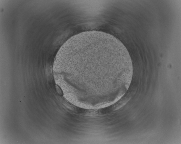 X0000072920624200608181252