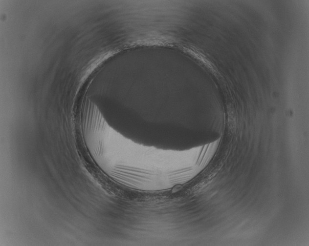 X0000072920626200608181252