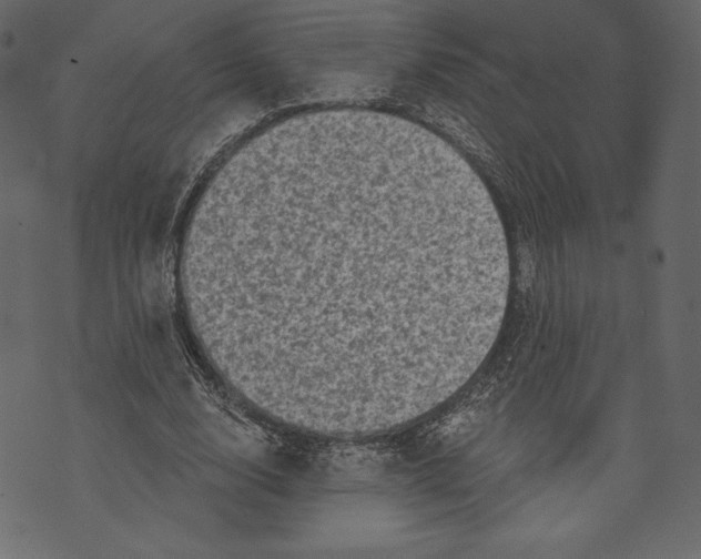 X0000072920632200608181252