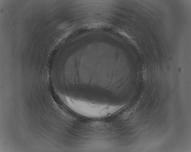 X0000072920637200608181252
