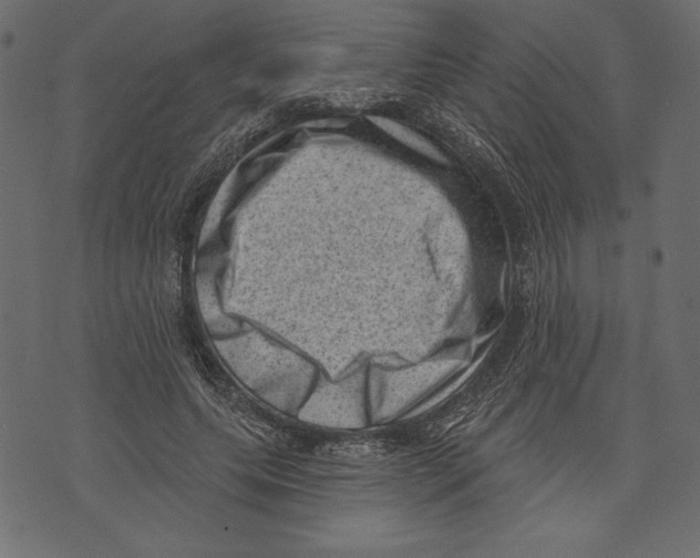 X0000072920639200608181252