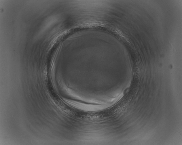 X0000072920640200608181252