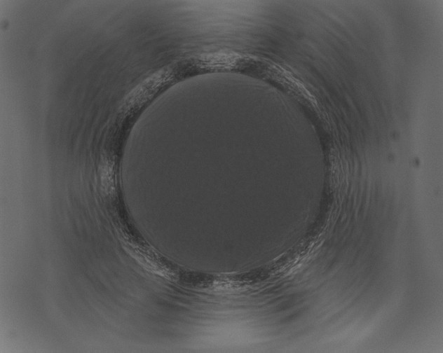 X0000072920641200608181252
