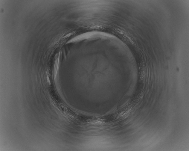 X0000072920643200608181252