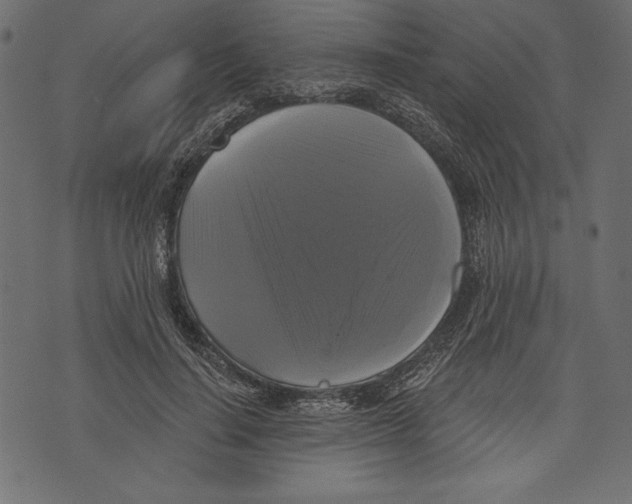 X0000072920644200608181252