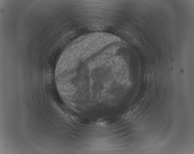 X0000072920647200608181252