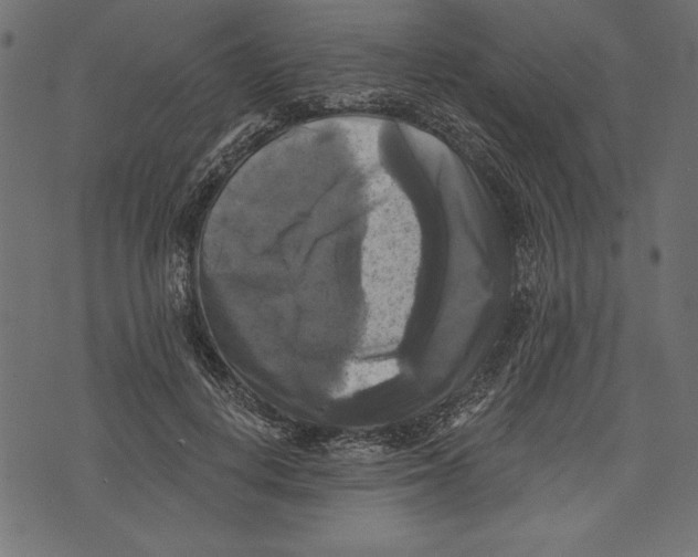 X0000072920648200608181252
