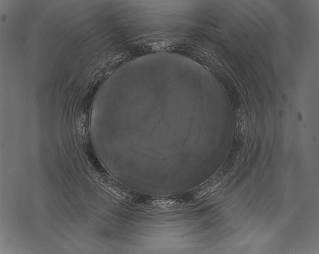 X0000072920650200608181252
