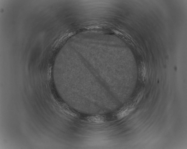 X0000072920652200608181252