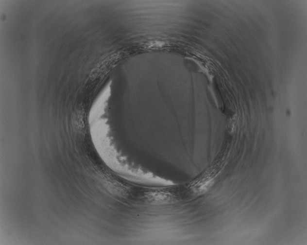 X0000072920654200608181252