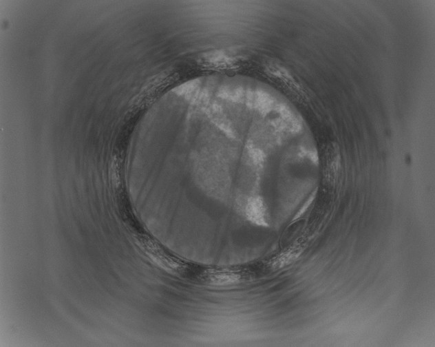 X0000072920658200608181252