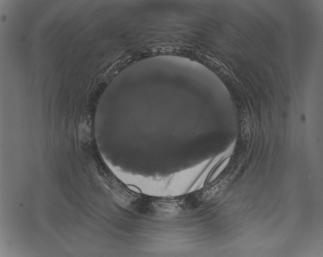 X0000072920661200608181252
