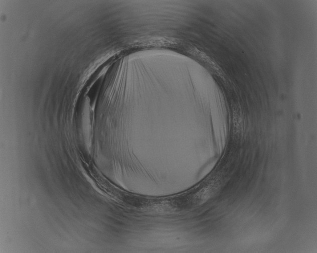 X0000072920674200608181251
