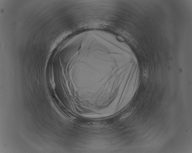 X0000072920678200608181251