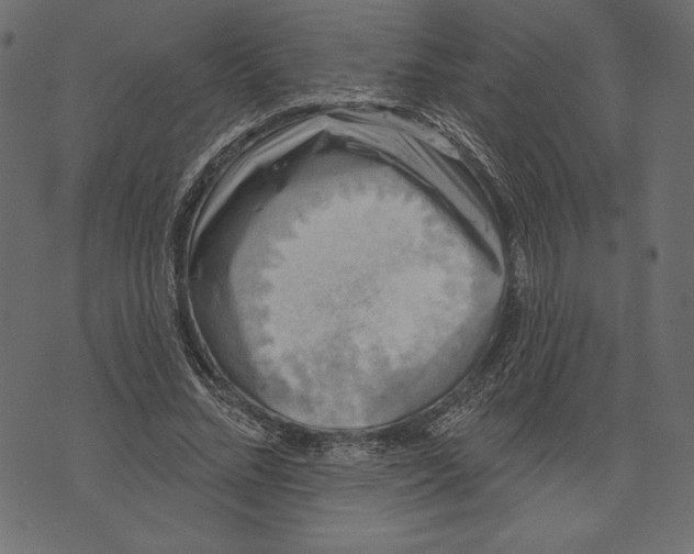 X0000072920684200608181251