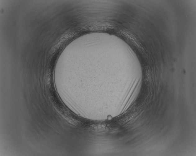 X0000072920687200608181251